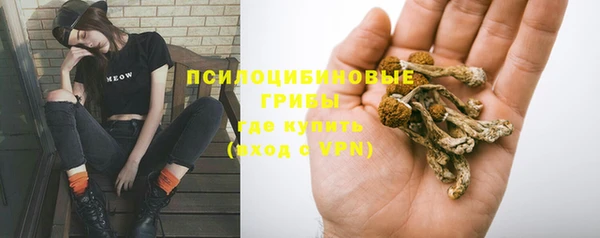 кокс Абдулино