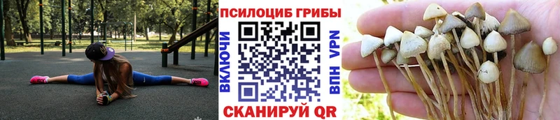 MEGA сайт  Рассказово  Галлюциногенные грибы GOLDEN TEACHER 